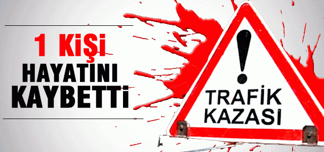 Şanlıurfa\'da trafik kazası