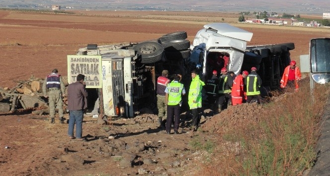 Urfa'da TIR ve kamyon kafa kafaya girdi