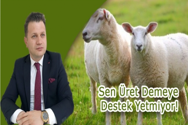 Sen Üret Demeye Destek Yetmiyor!