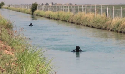 Harran'da sulama kanalına düşen 3 yaşındaki çocuk hayatını kaybetti