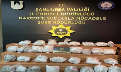 Şanlıurfa'da 23 kilo 300 gram skunk ele geçirildi