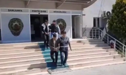 Şanlıurfa'da aranan şahıslara operasyon!