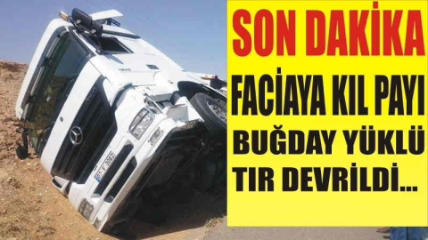 Şanlıurfa’da buğday yüklü TIR devrildi