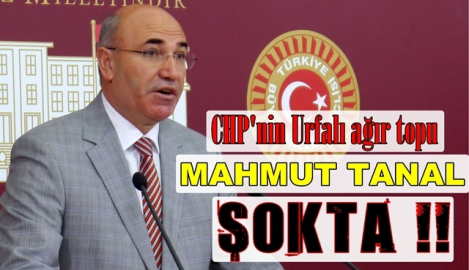 CHP'li Tanal'ın Ağabeyi Ak Parti'de