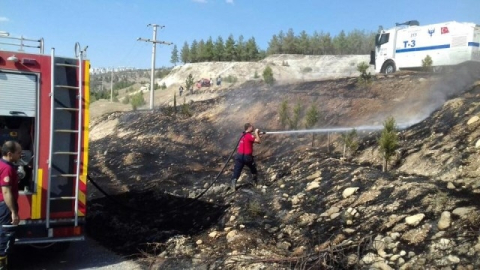 Ormanlık alanda yangın çıktı