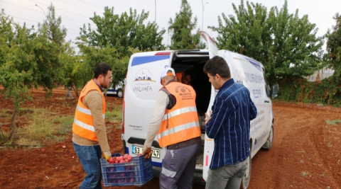 Büyükşehir'den dar gelirli ailelere meyve ikramı (video)