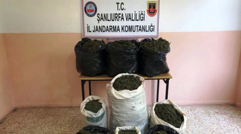 Şanlıurfa'da uyuşturucu operasyonları