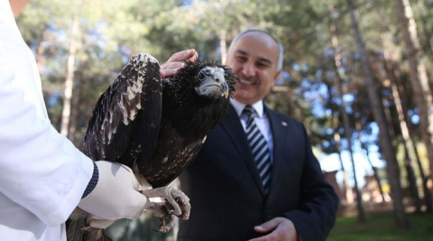 Urfa'da Yaralı kuşlara 'şifa' oldular