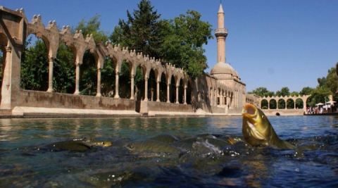 Büyükşehirden Urfalıları duygulandıran klip!