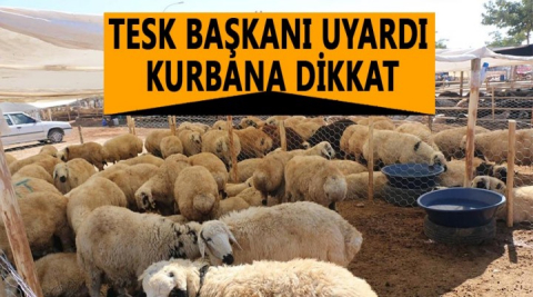 Dikkat edilmesi gerekiyor