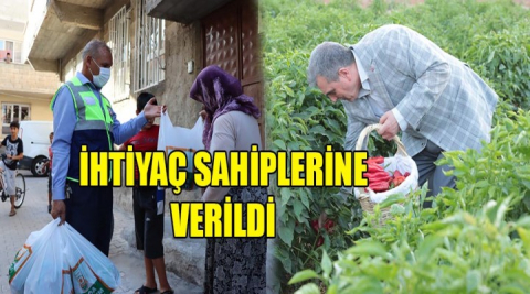 Başkanın topladığı isotlar evlere dağıtıldı