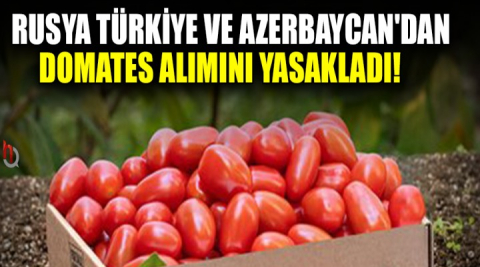 Rusya Türkiye ve Azerbaycan'dan domates alımını yasakladı!