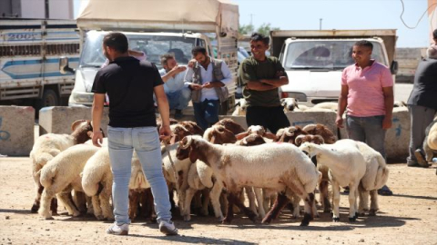 Urfa'da Besiciler Müşterilerini Bekliyor