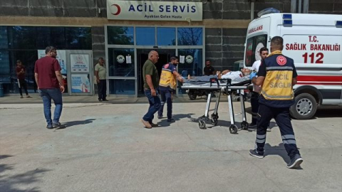 Urfa'da Otomobil Pamuk Tarlasına Uçtu