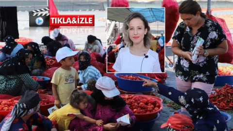 İsot İşçilerine ‘Güneş Çarpması’ Uyarısı