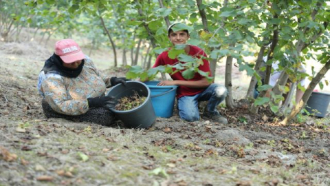 Urfalı İşçilerin Gurbetteki Ekmek Mücadelesi Sürüyor