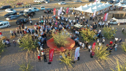 Urfa'da Badem Hasadı Başladı