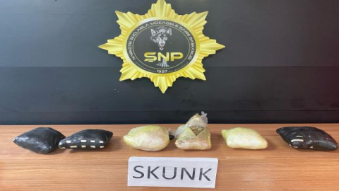 Şanlıurfa'da 3,9 kilo skunk ele geçirildi