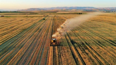 Çiftçilere destekleme ödemeleri tamamlandı