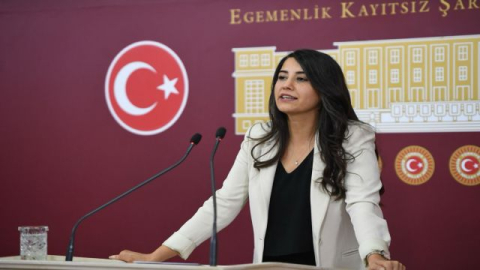 Şanlıurfa sağlık çalışanları sorunlar TBMM’ne taşındı.