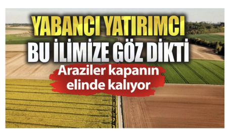 Yabancılar o ilimize göz dikti. Kapış kapış satın alıyor!