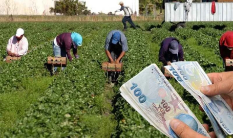 Şanlıurfa’da Tarım İşçilerinin Yevmiye Ücretleri Belirlendi!