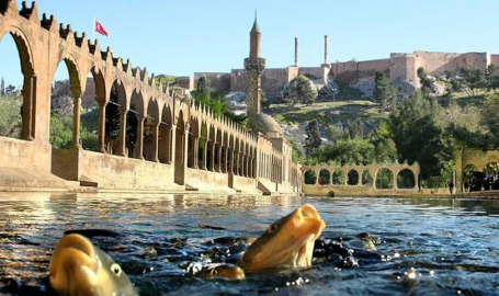 Şanlıurfa'da Bir Belediyenin Daha Gelir-Gideri Açıklandı!