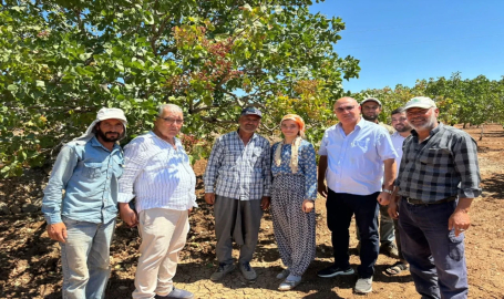 Velil Tanal: Fıstık da Fındık Gibi Taban Fiyat Uygulamasına Dahil Edilsin!