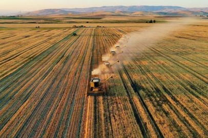 Tarım Ve Orman Bakanlığı’ndan “33 Soruda Planlı Üretim” Rehberi