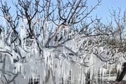 Meteoroloji’den Kritik Uyarı! Şanlıurfa Bugün Donacak 