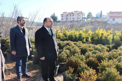 Karaköprü’de Kenti Yeşillendirilecek Fidanlar Üretiliyor