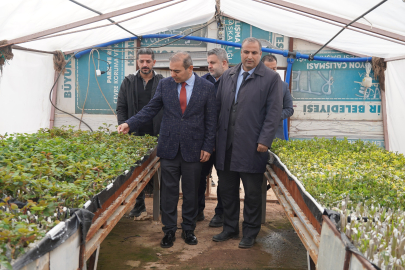 100 Bin Fıstık Ağacı İçin "Bıttım" Tohumu Ekimi Başladı