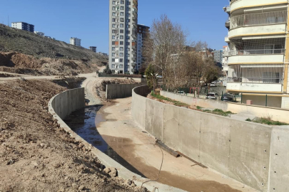 Şanlıurfa dere islahı,Ağaç ıslahına döndü!